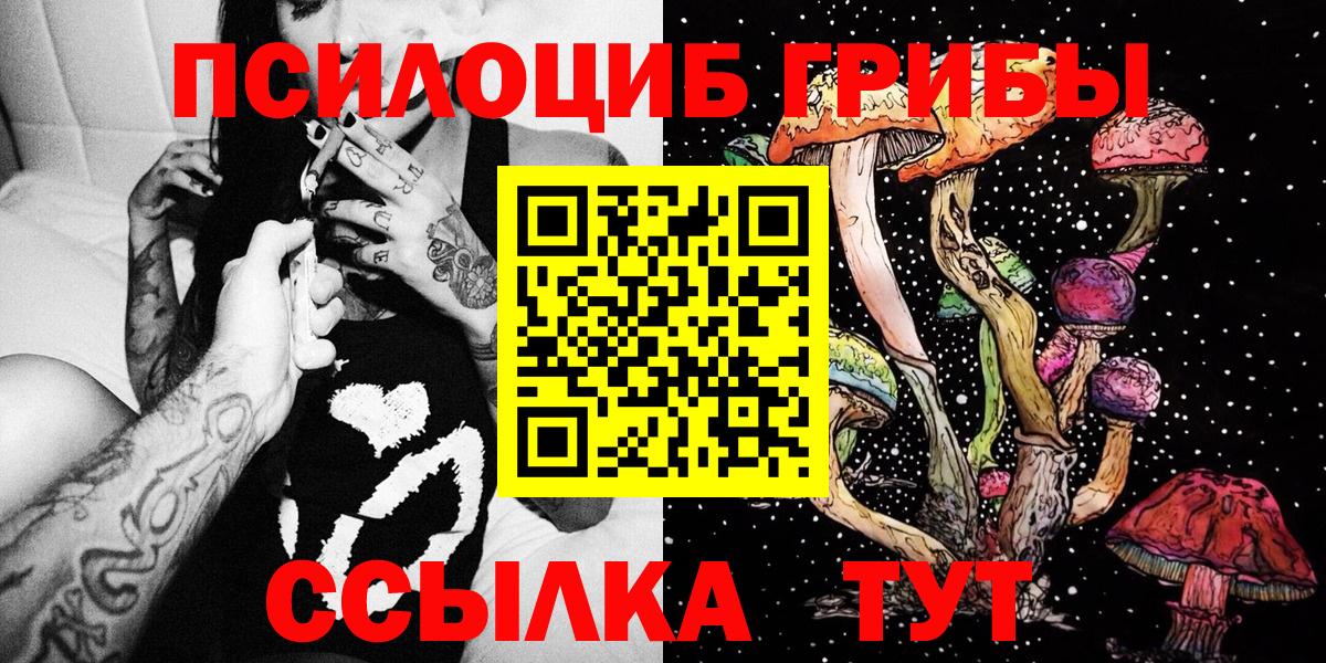 Псилоцибиновые грибы Psilocybine cubensis  Вход с VPN  сколько стоит  Павлово  Галлюциногенные грибы Magic Shrooms 